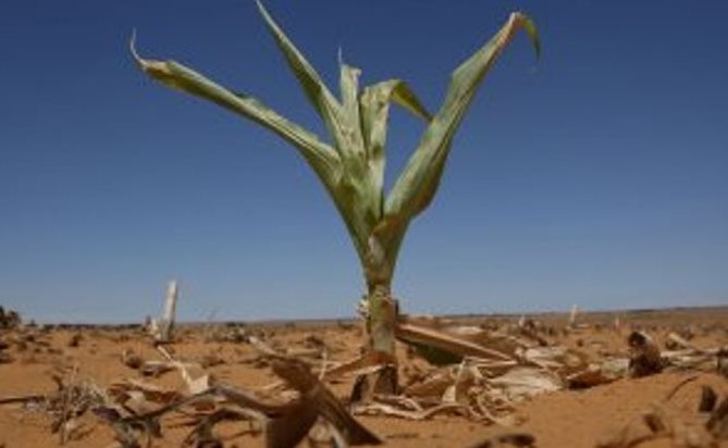 Le Niger attendu au Sommet V20 sur le financement des pays vulnérables au changement climatique